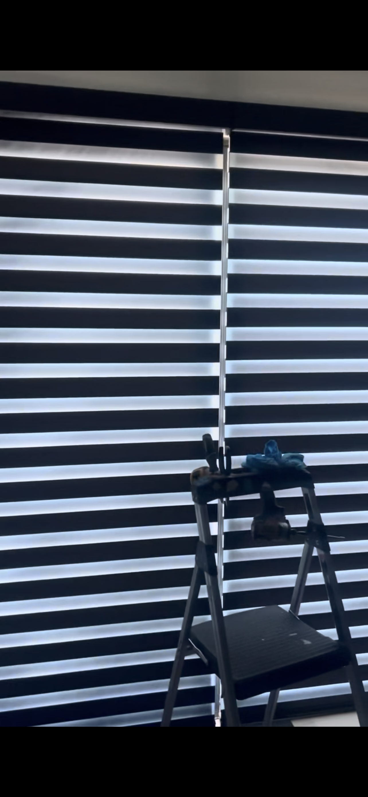 Zebra Shades