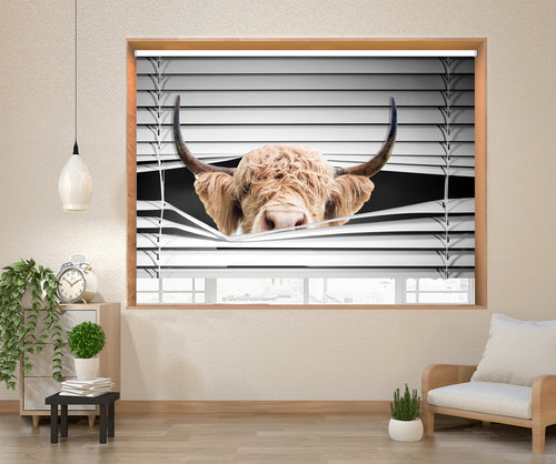 Print Blinds