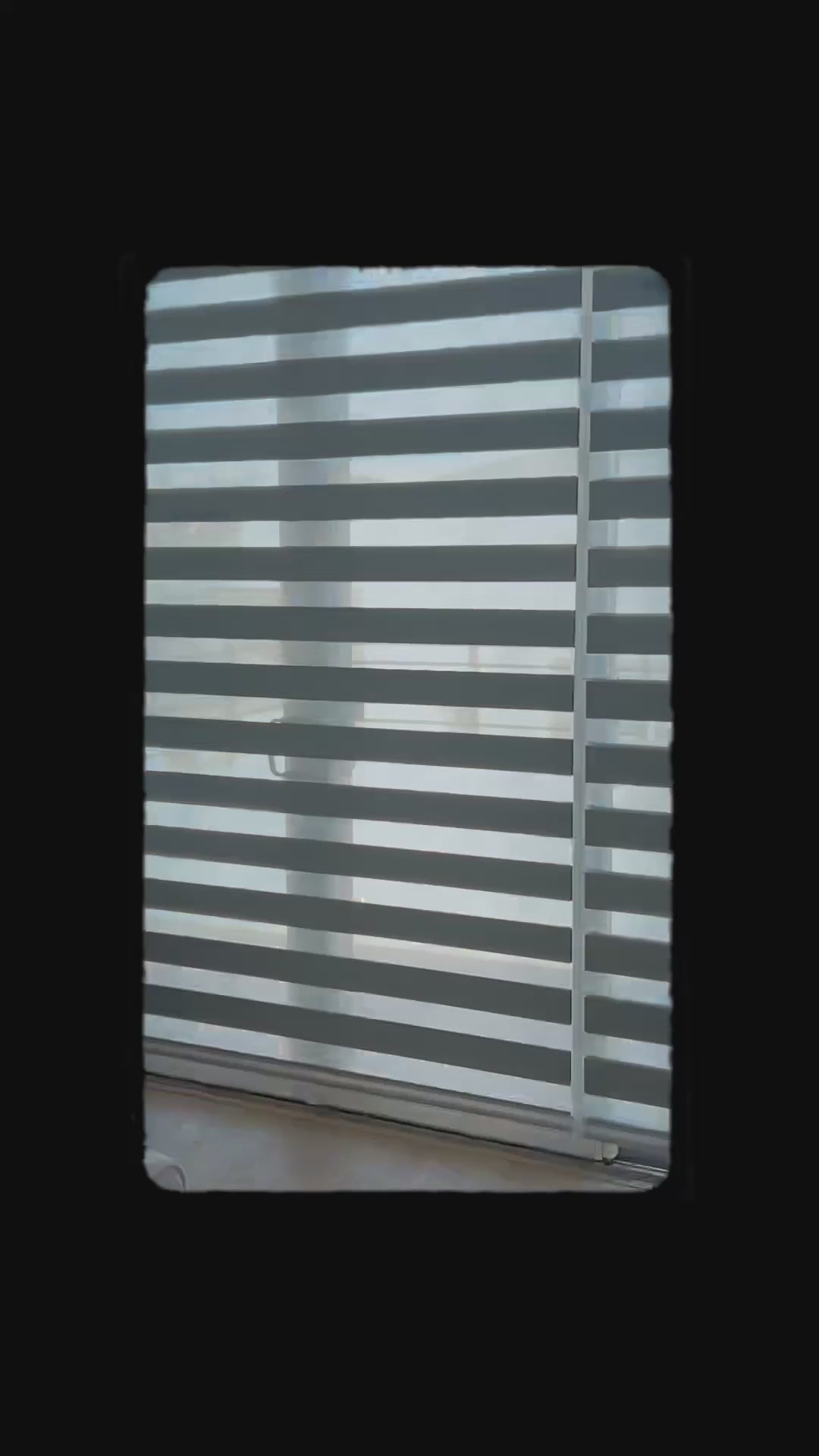 Zebra Shades