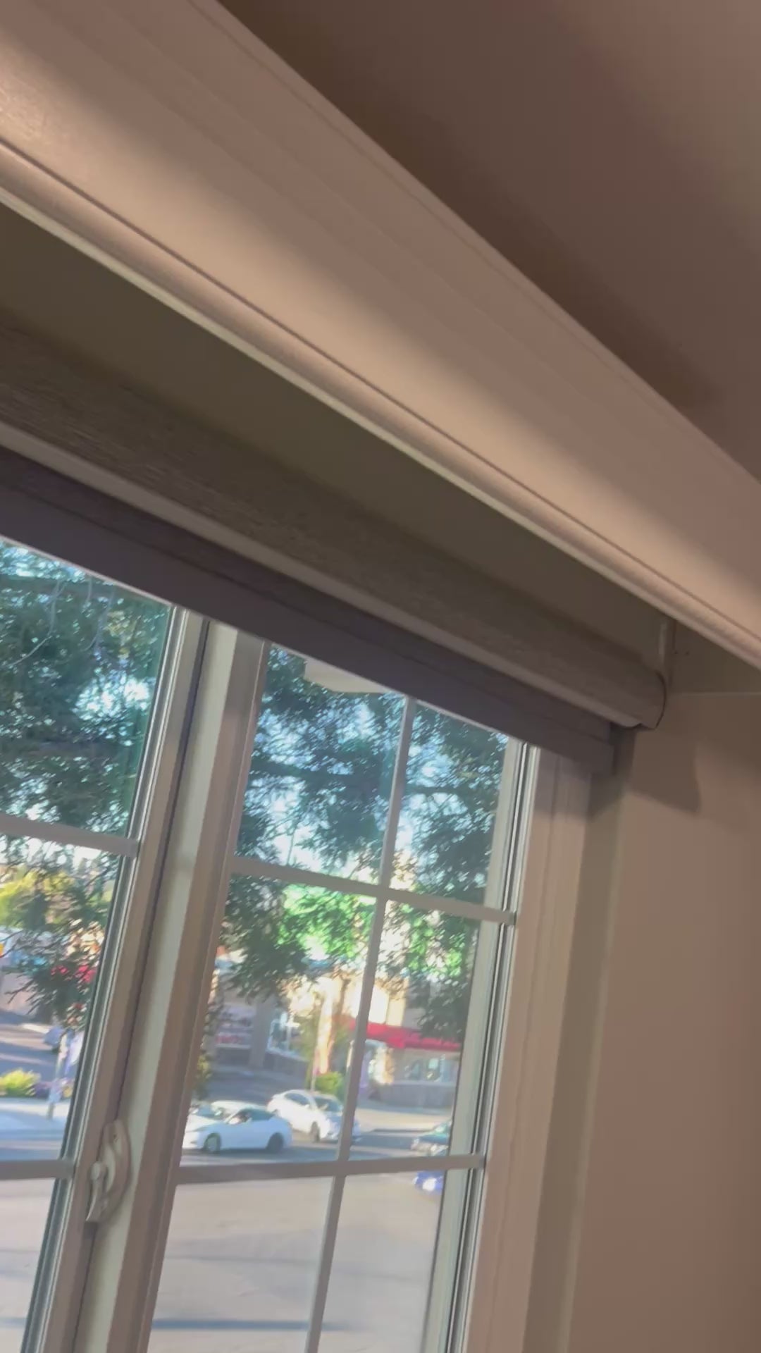 Roller Shade