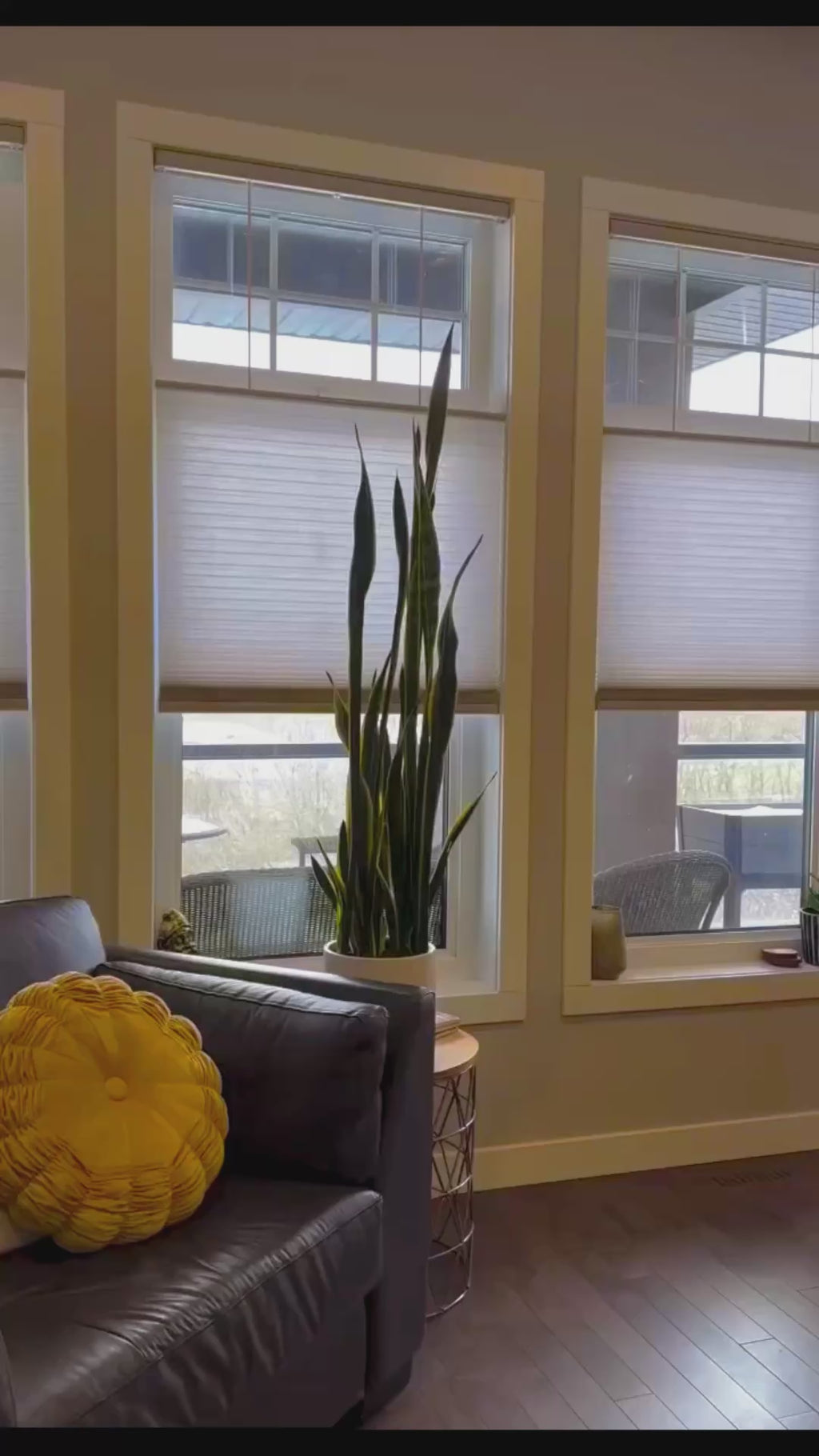 Honeycomb Cellular Shades